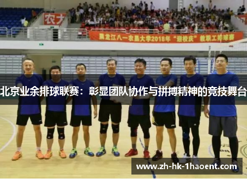 北京业余排球联赛：彰显团队协作与拼搏精神的竞技舞台
