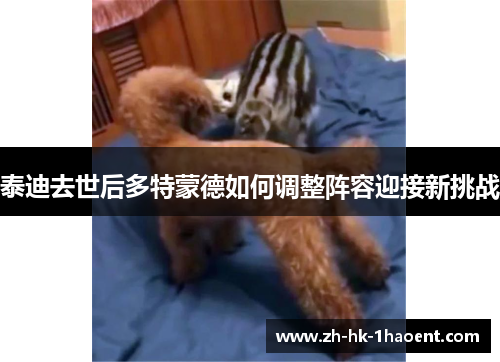 泰迪去世后多特蒙德如何调整阵容迎接新挑战