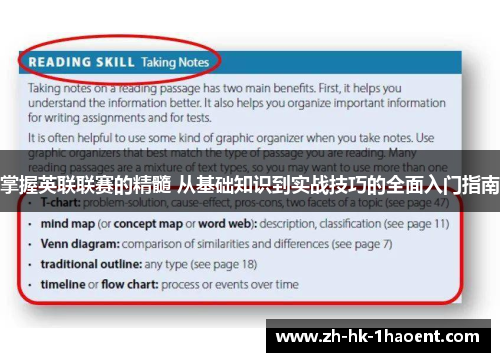 掌握英联联赛的精髓 从基础知识到实战技巧的全面入门指南