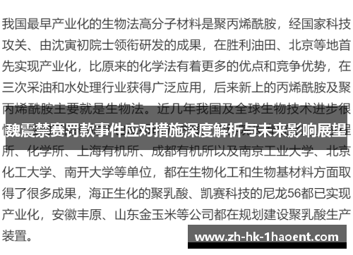 魏震禁赛罚款事件应对措施深度解析与未来影响展望