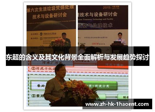 东超的含义及其文化背景全面解析与发展趋势探讨 东超的含义及其文化背景全面解析与发展趋势探讨