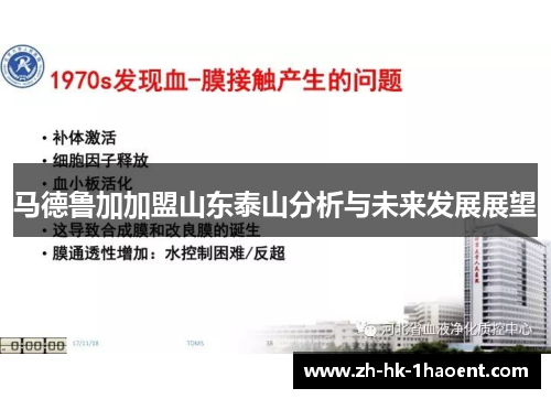 马德鲁加加盟山东泰山分析与未来发展展望 马德鲁加加盟山东泰山分析与未来发展展望