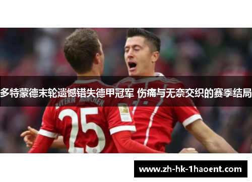 多特蒙德末轮遗憾错失德甲冠军 伤痛与无奈交织的赛季结局 多特蒙德末轮遗憾错失德甲冠军 伤痛与无奈交织的赛季结局