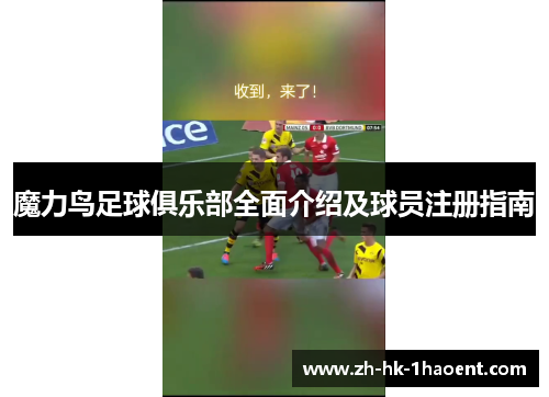 魔力鸟足球俱乐部全面介绍及球员注册指南 魔力鸟足球俱乐部全面介绍及球员注册指南