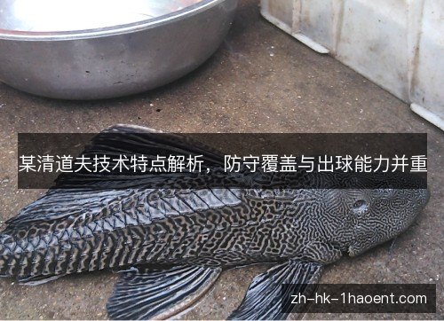 某清道夫技术特点解析，防守覆盖与出球能力并重